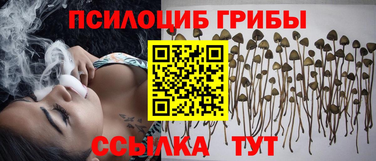 Галлюциногенные грибы ЛСД  Вход с VPN  Краснодар 
